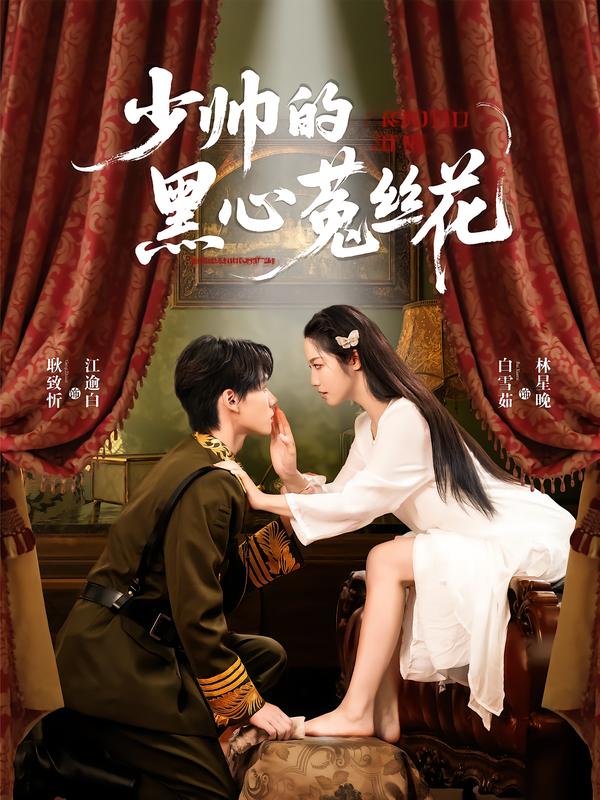 少帅的黑心菟丝花 的封面